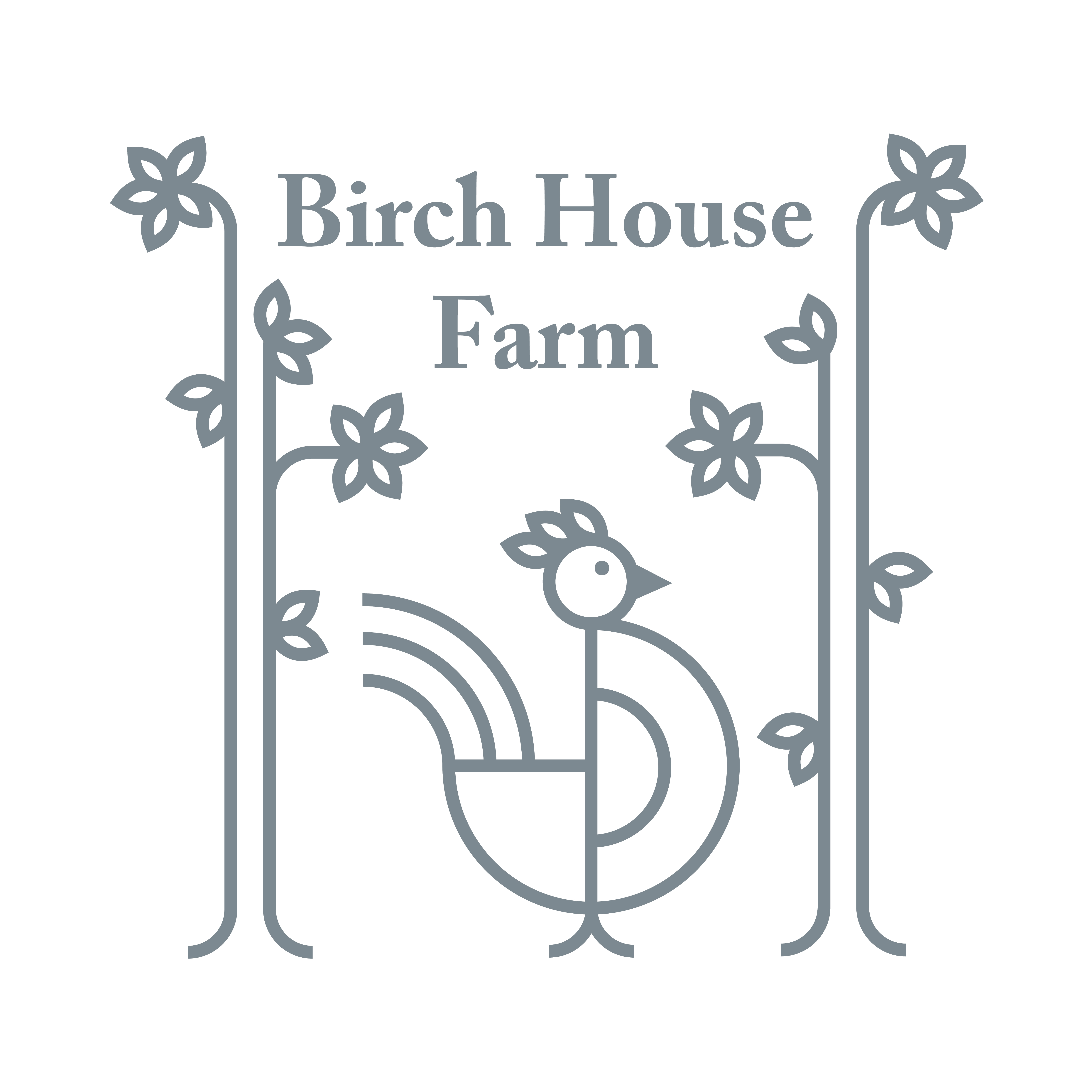 Birch House Farm Glamping