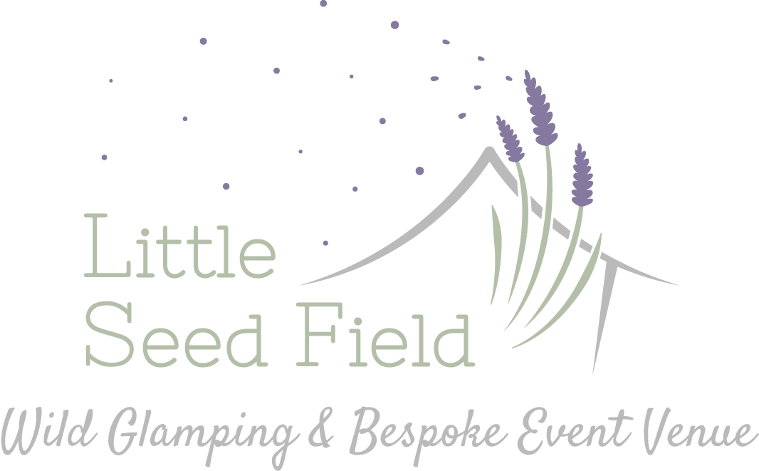 Little Seed Field glamping in Yorkshire
